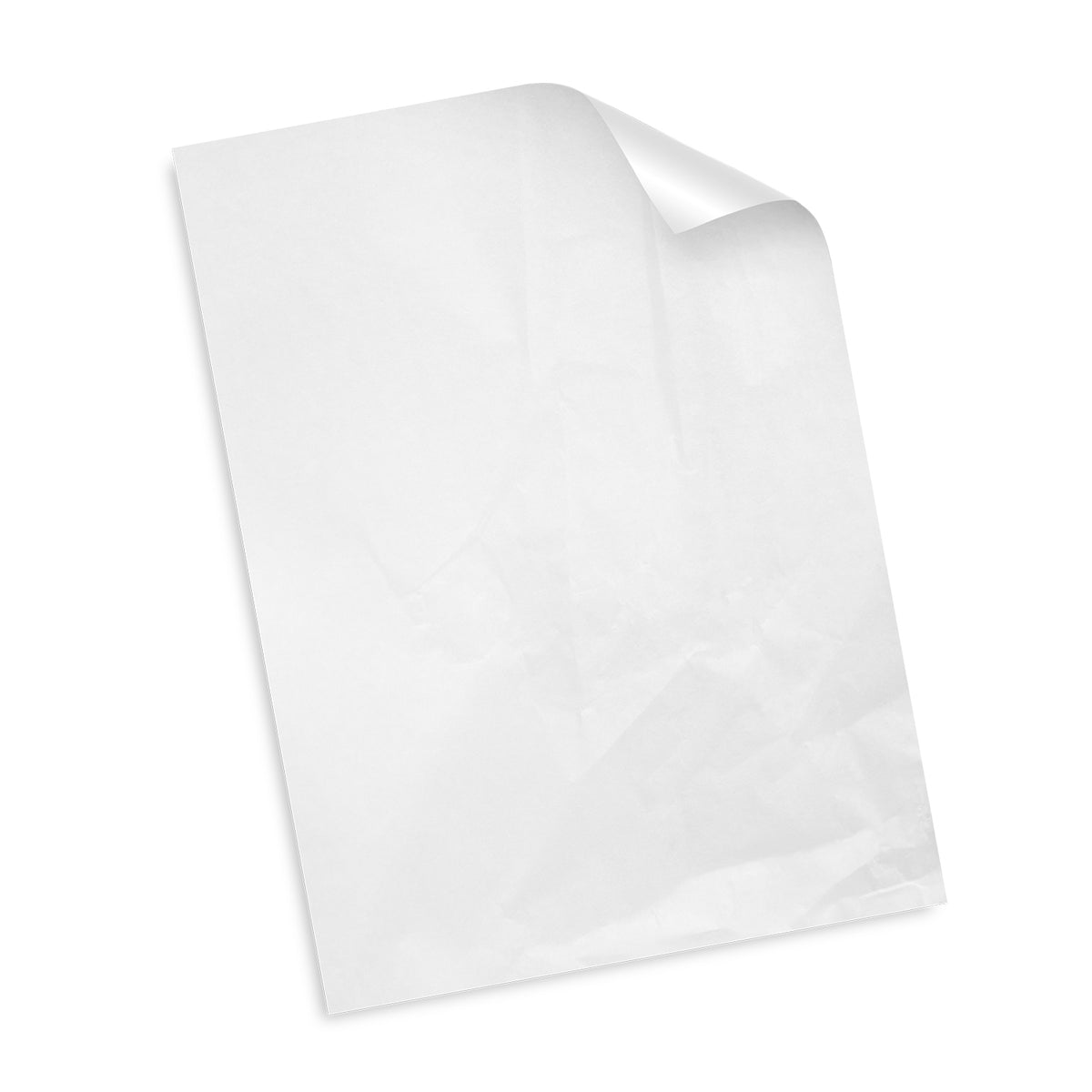 Custom Tissue Paper - White