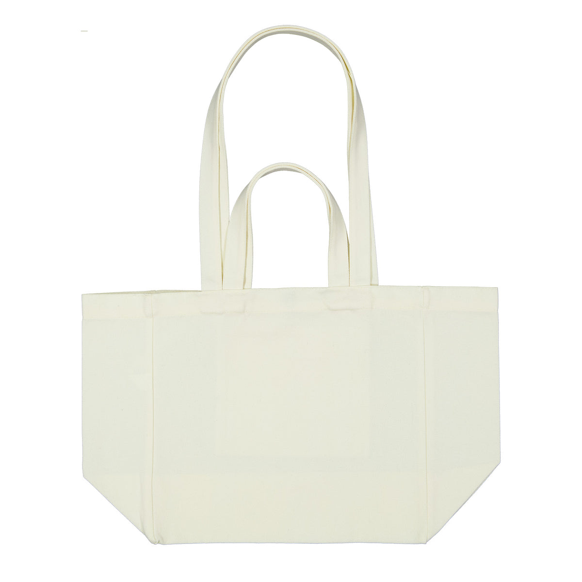 Splendid Canvas Bag