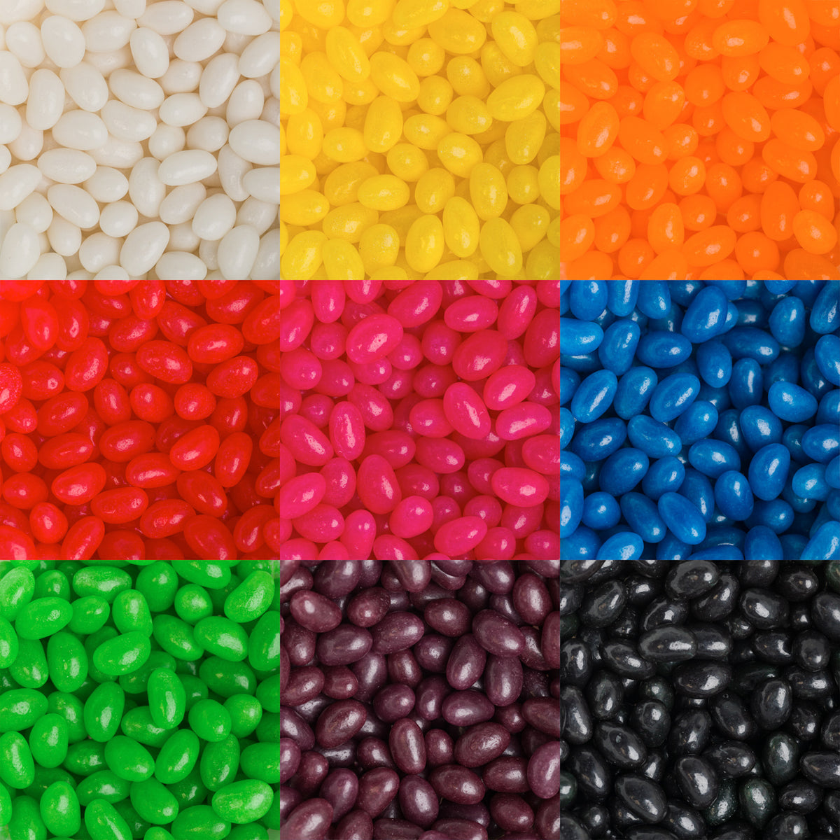 Corporate Colour Jelly Beans in 50g Box