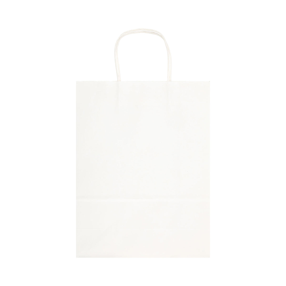 Express Paper Bag Large