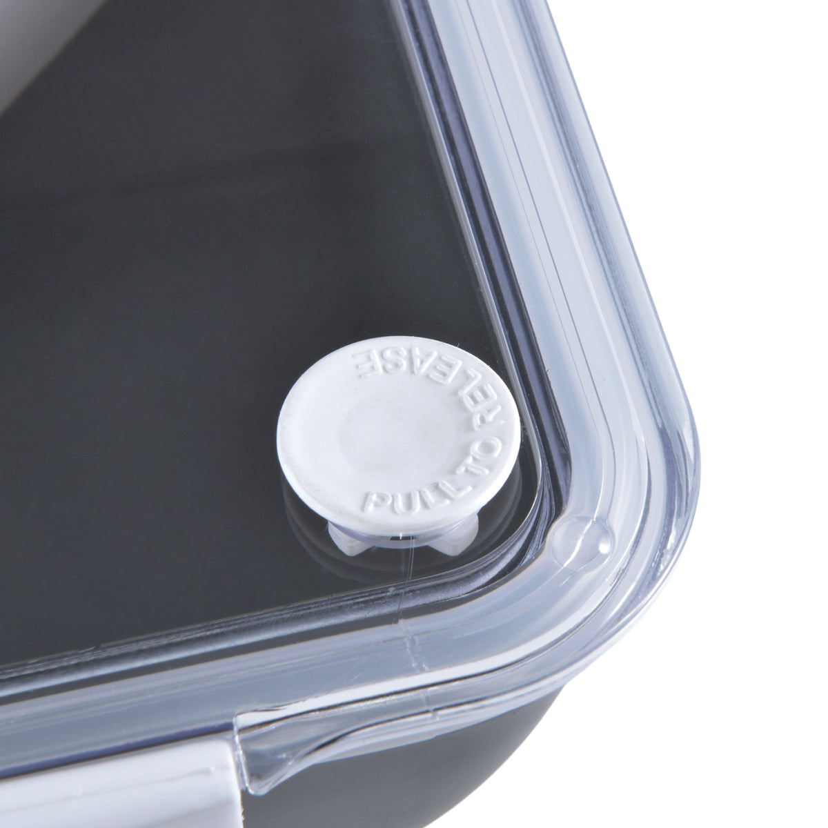 Zest Lunch Box / Food Container