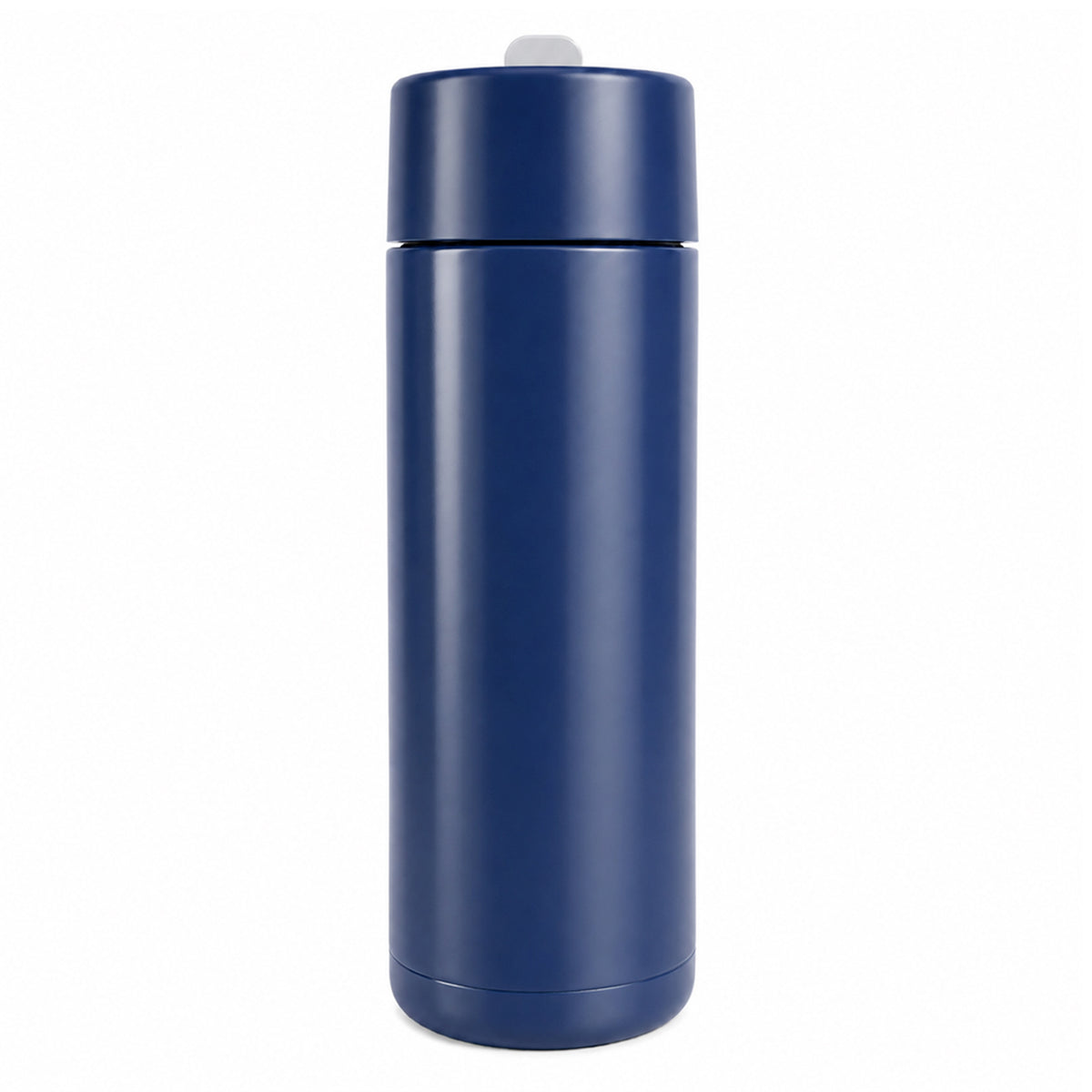 Zara 600ml Steel Bottle