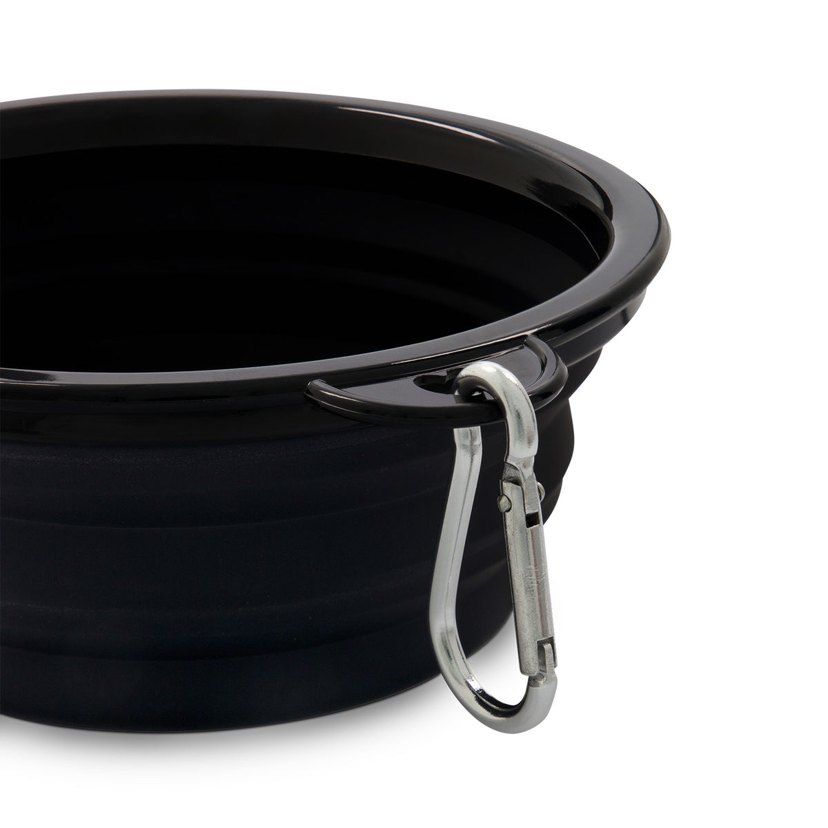 Buddy Collapsible Bowl